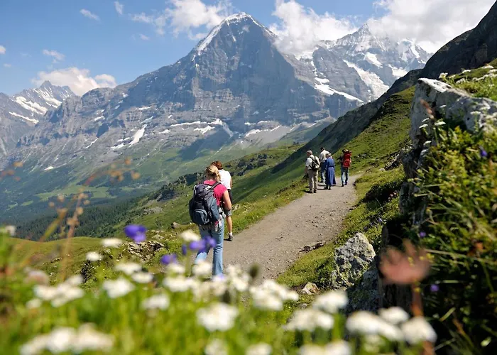 Luxury, New - Amazing Views Grindelwald Eiger Jungfrau Moench