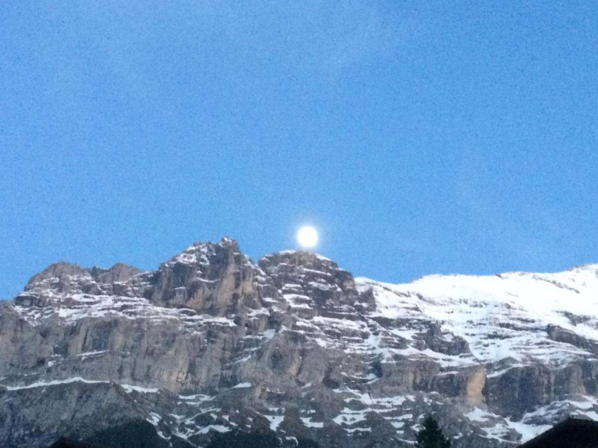 Luxury, New - Amazing Views Eiger Jungfrau Moench