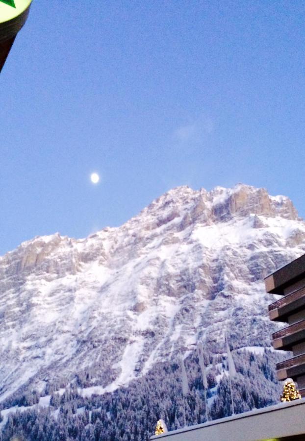 Luxury, New - Amazing Views Eiger Jungfrau Moench Appartamento Grindelwald