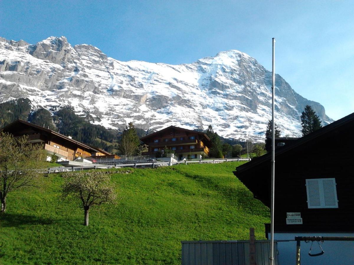 Appartamento Luxury, New - Amazing Views Eiger Jungfrau Moench *