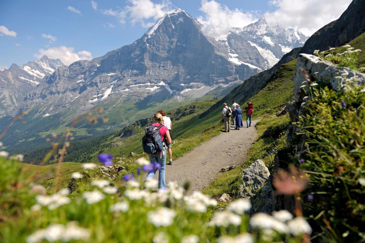 Appartamento Luxury, New - Amazing Views Eiger Jungfrau Moench