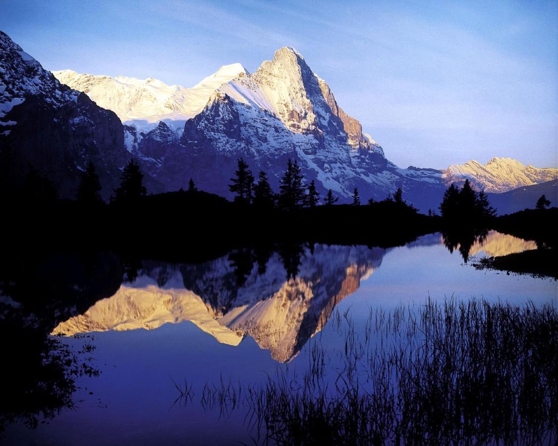 Appartamento Luxury, New - Amazing Views Eiger Jungfrau Moench